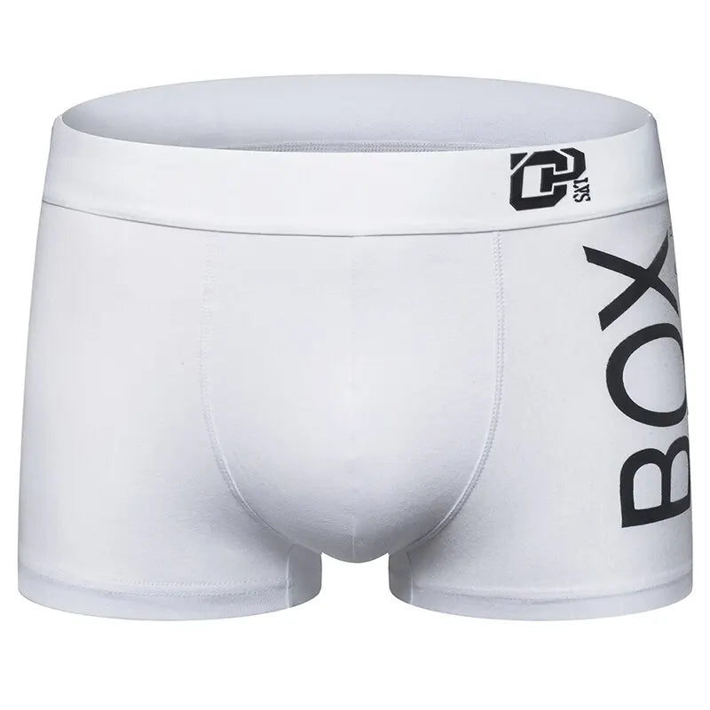 ORLVS Mens Boxer Sexy Underwear Soft Long Boxershorts Cotton Soft Underpants Male Panties 3D Pouch Shorts Under Wear Pants Short