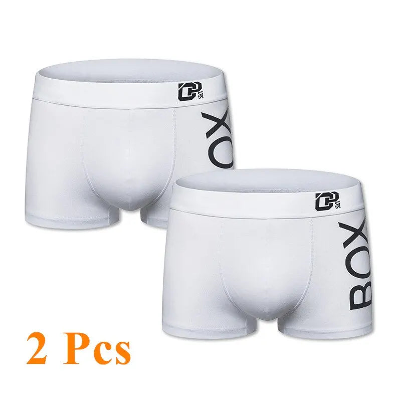 ORLVS Mens Boxer Sexy Underwear Soft Long Boxershorts Cotton Soft Underpants Male Panties 3D Pouch Shorts Under Wear Pants Short